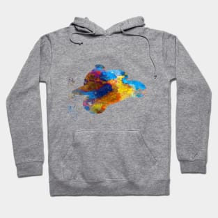 Watercolor moto gp rider Hoodie